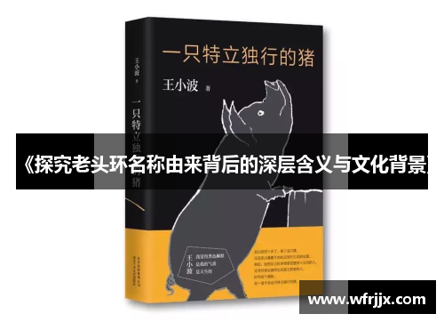 《探究老头环名称由来背后的深层含义与文化背景》